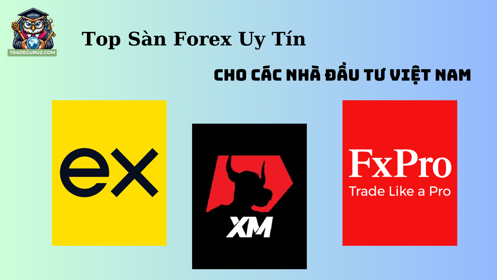 Top sàn forex uy tín cho các nhà đầu tư Việt Nam