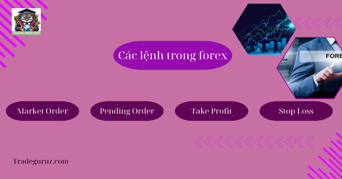 Các lệnh trong thị trường forex - Top sàn forex uy tín nhất