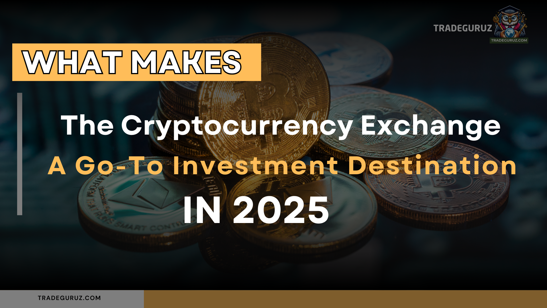 blog-image