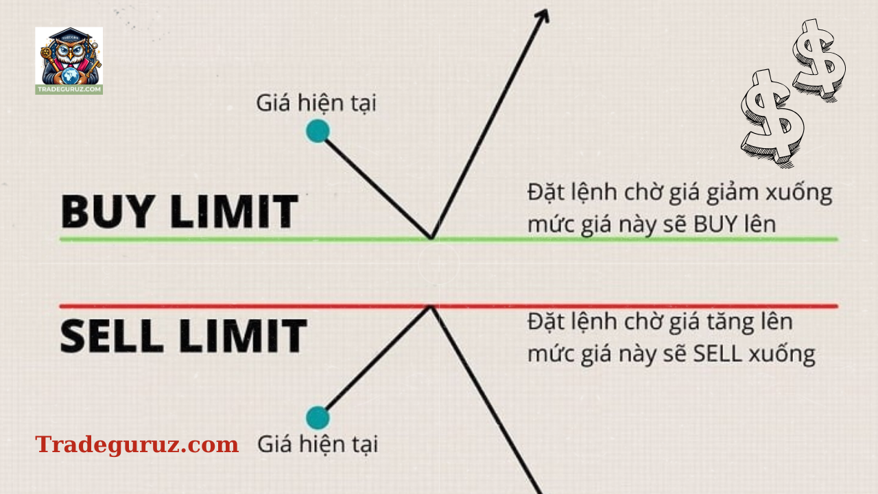 Các lệnh chờ trong thị trường forex - Top sàn forex uy tín nhất