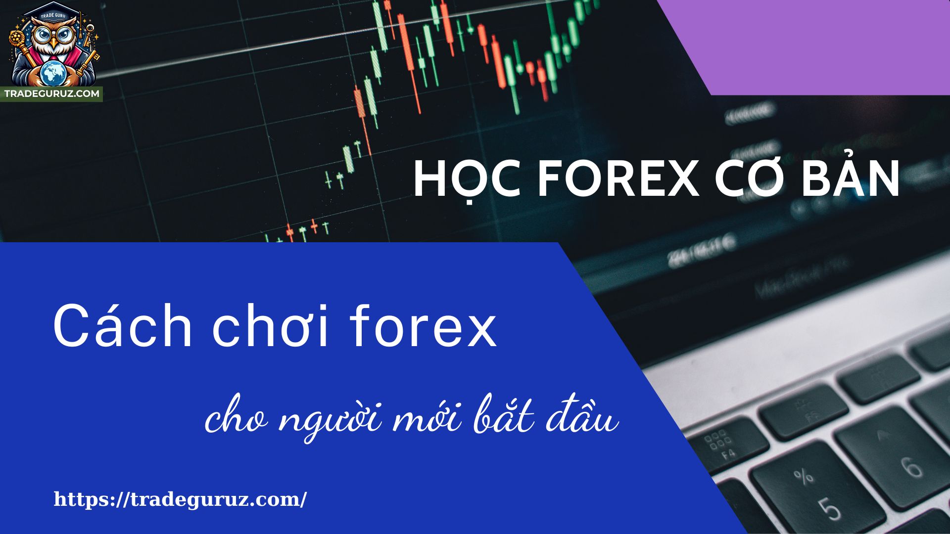blog-image
