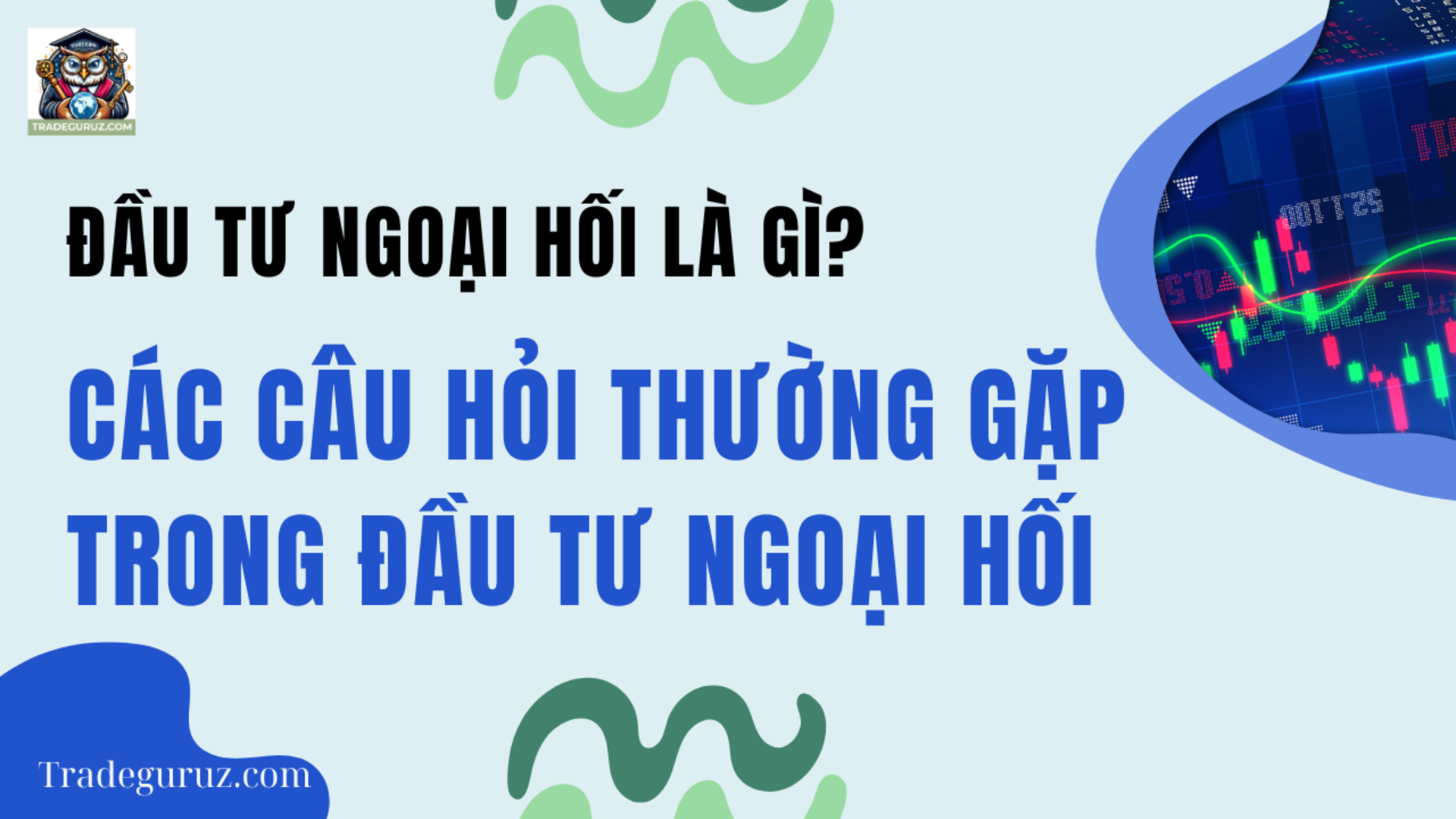 blog-image