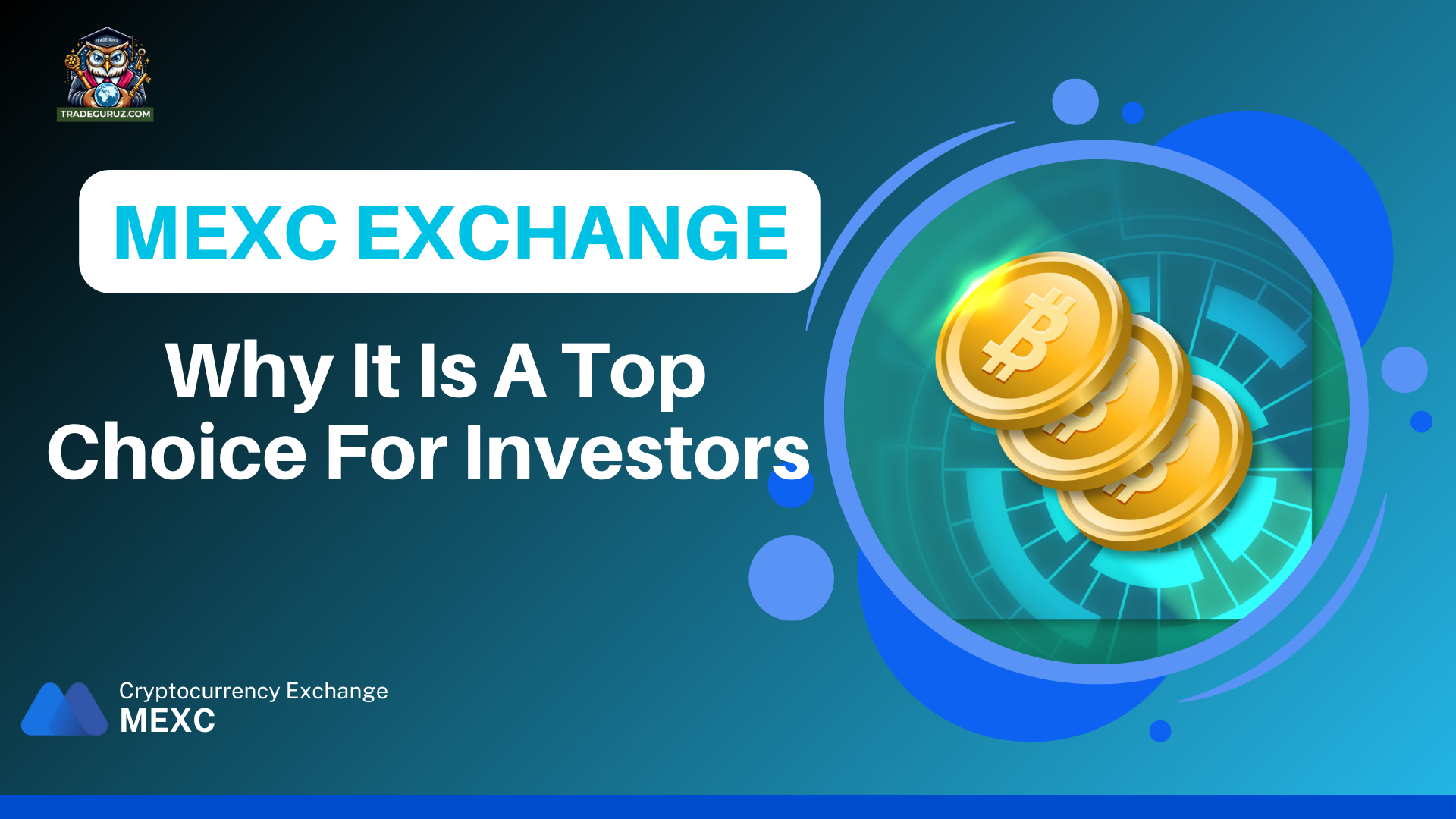 mexc-review-crypto-market
