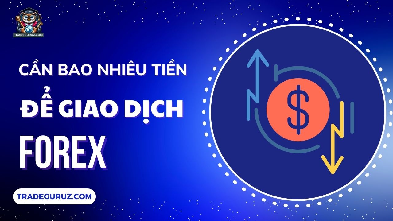Cần bao nhiêu tiền để giao dịch forex? Kiến thức forex cơ bản