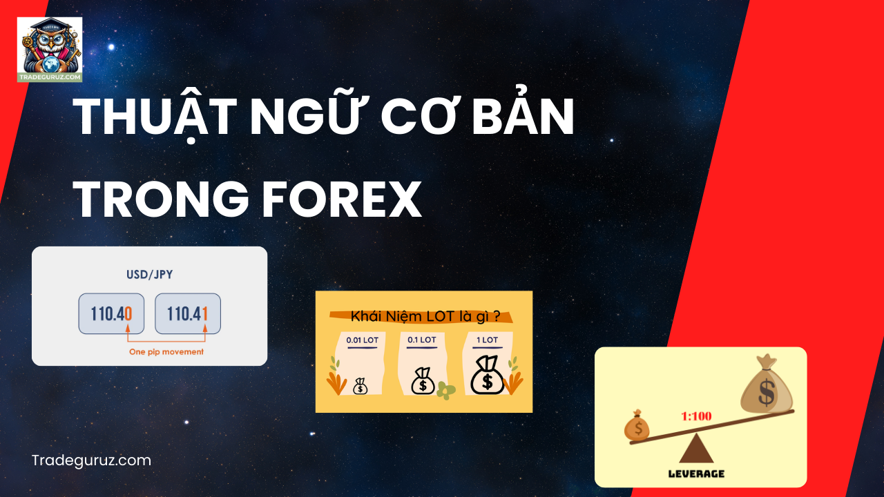 Các thuật ngữ quan trọng trong forex - Kiến thức forex
