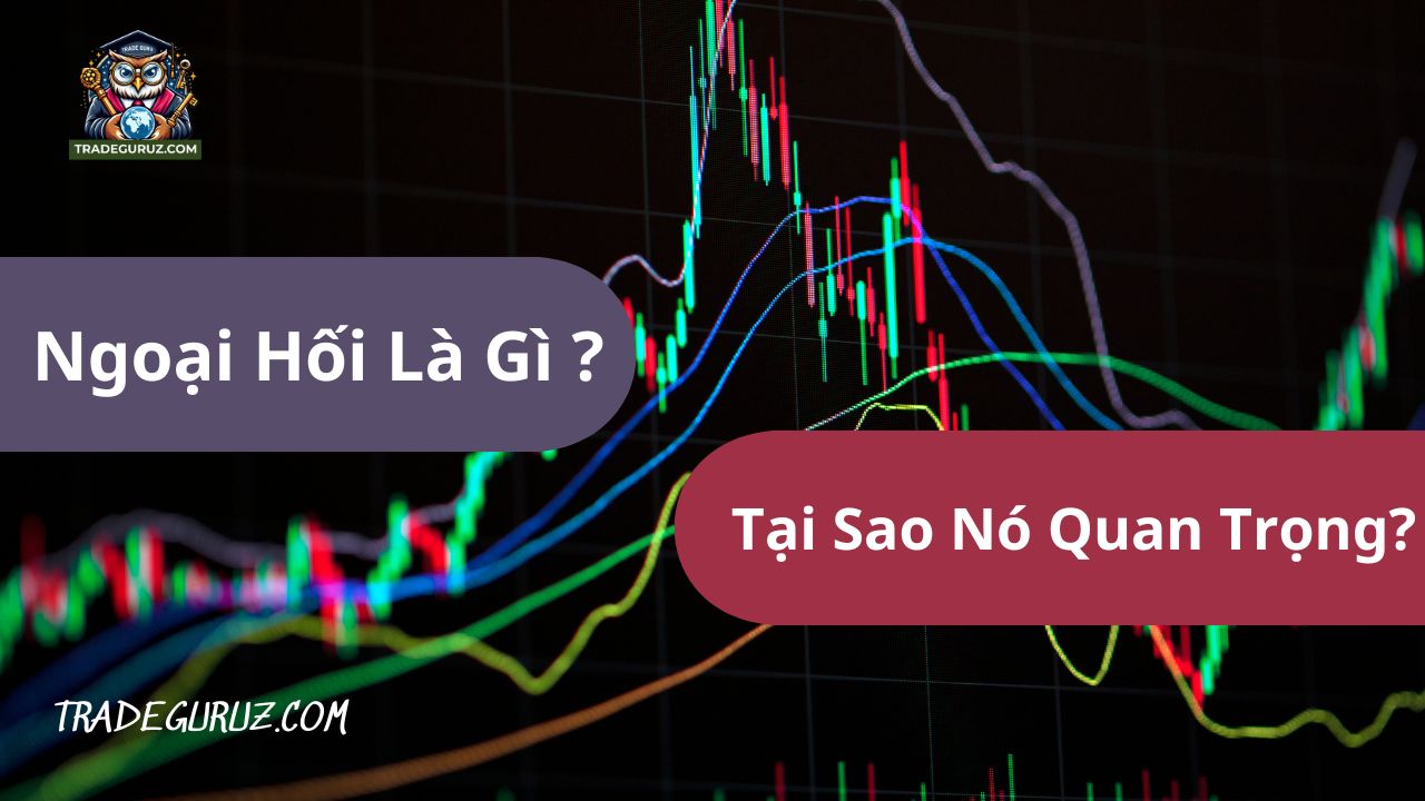 Thị trường ngoại hối là gì? Và vì sao nó quan trọng?