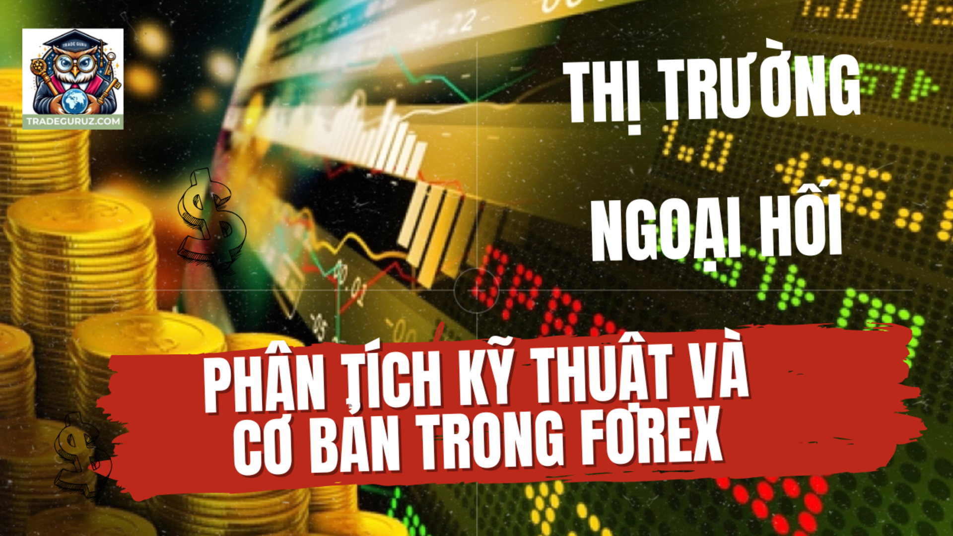 blog-image