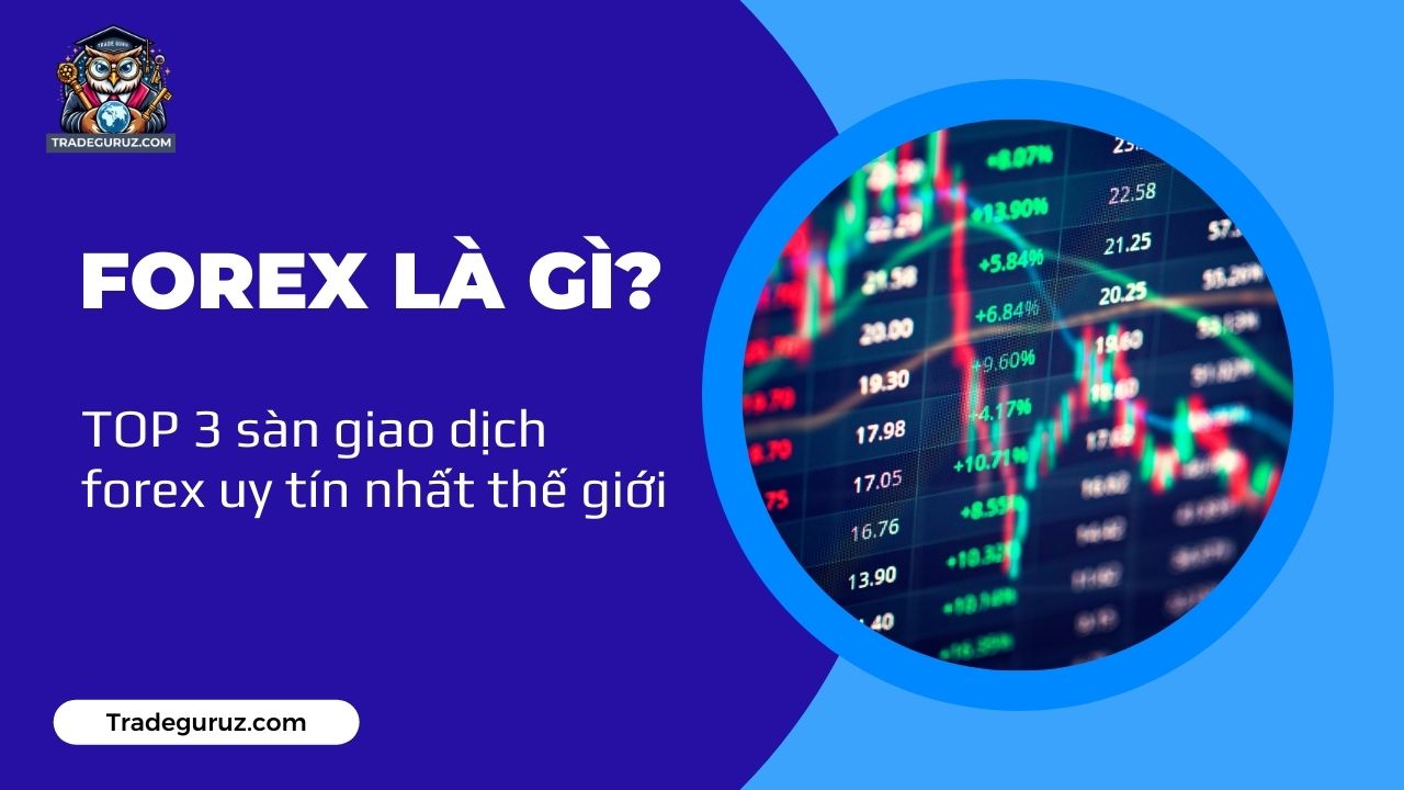 Forex là gì? TOP 3 sàn giao dịch forex uy tín