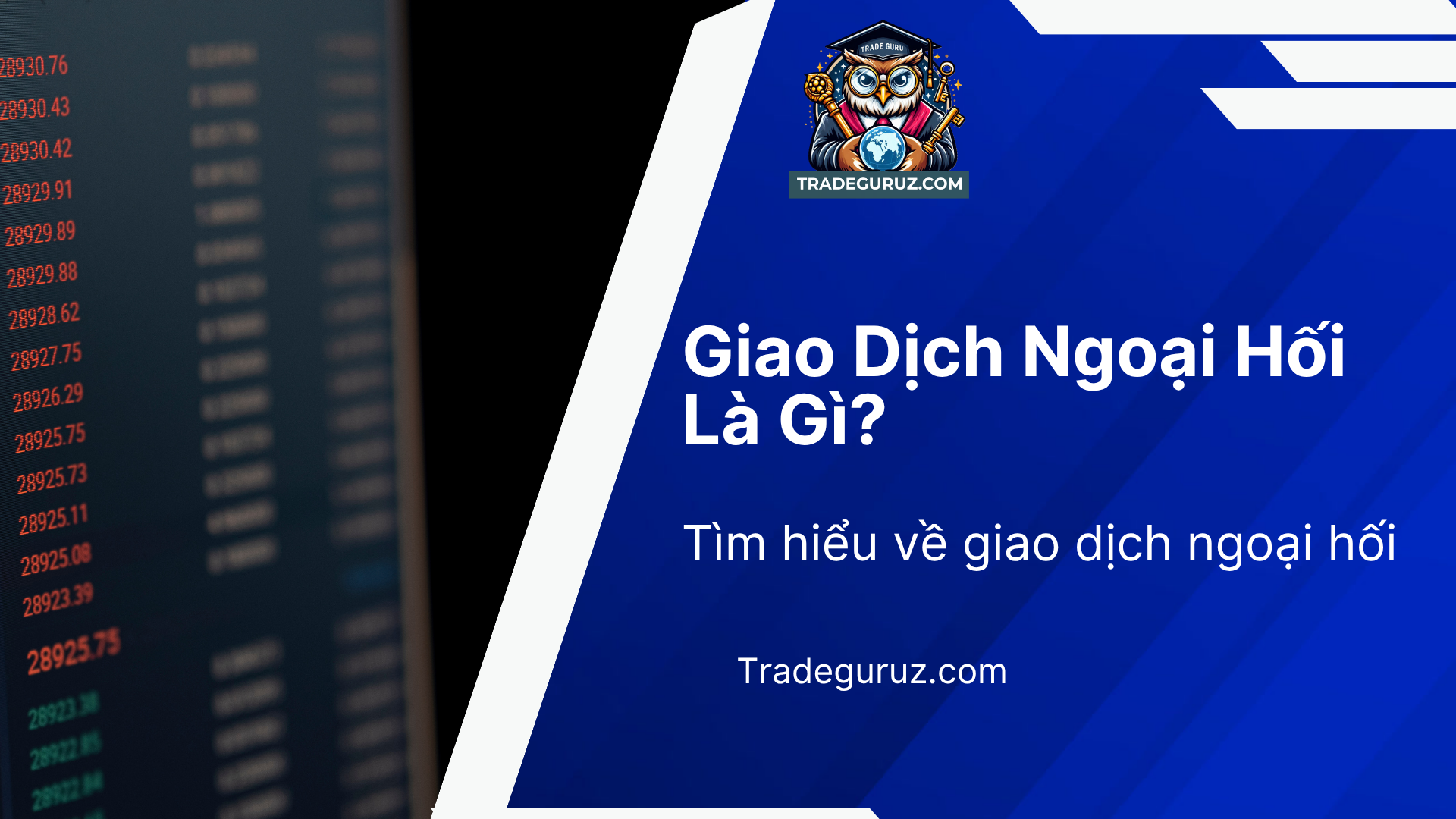 Giao dịch forex là gì? Tìm hiểu về giao dịch ngoại hối