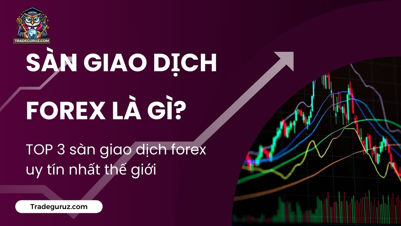 Sàn giao dịch forex là gì? TOP 3 sàn giao dịch forex uy tín nhất thế giới