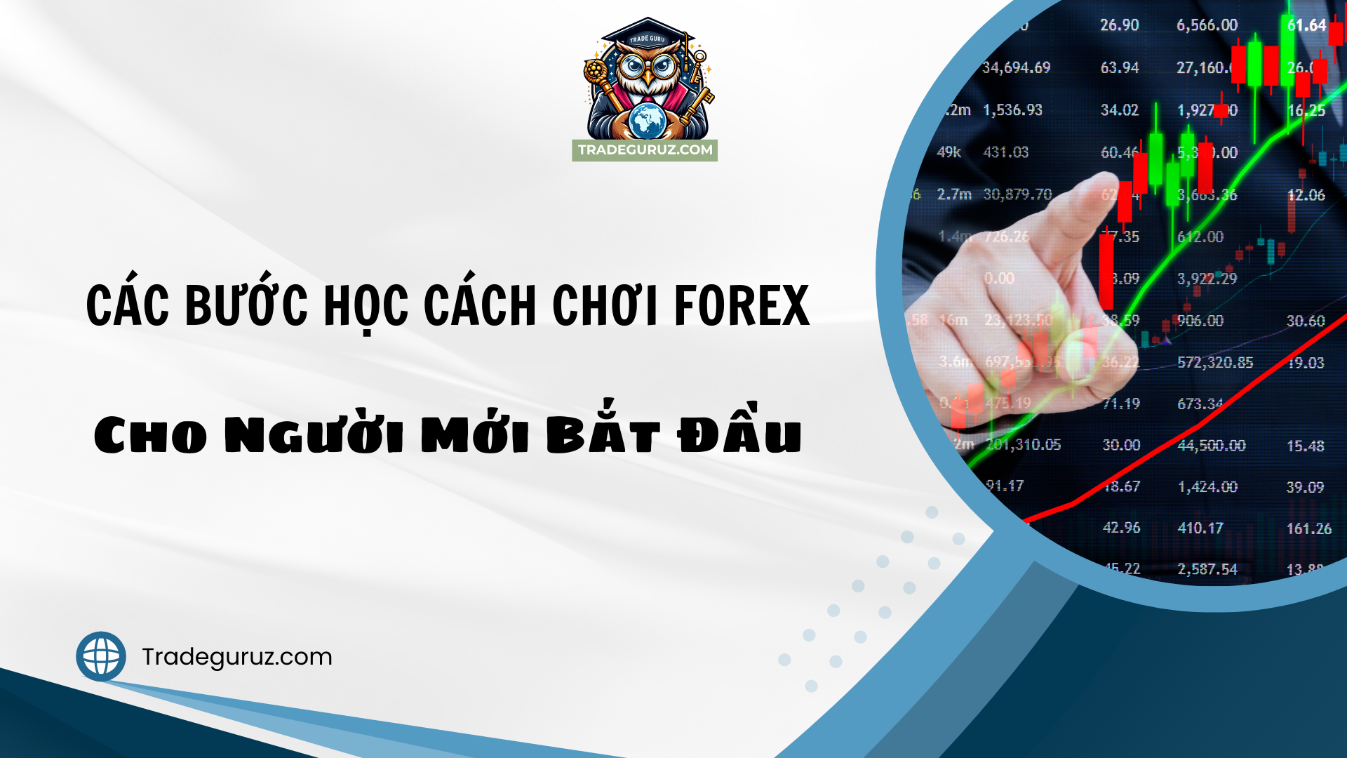 Cách chơi forex cho người mới bắt đầu