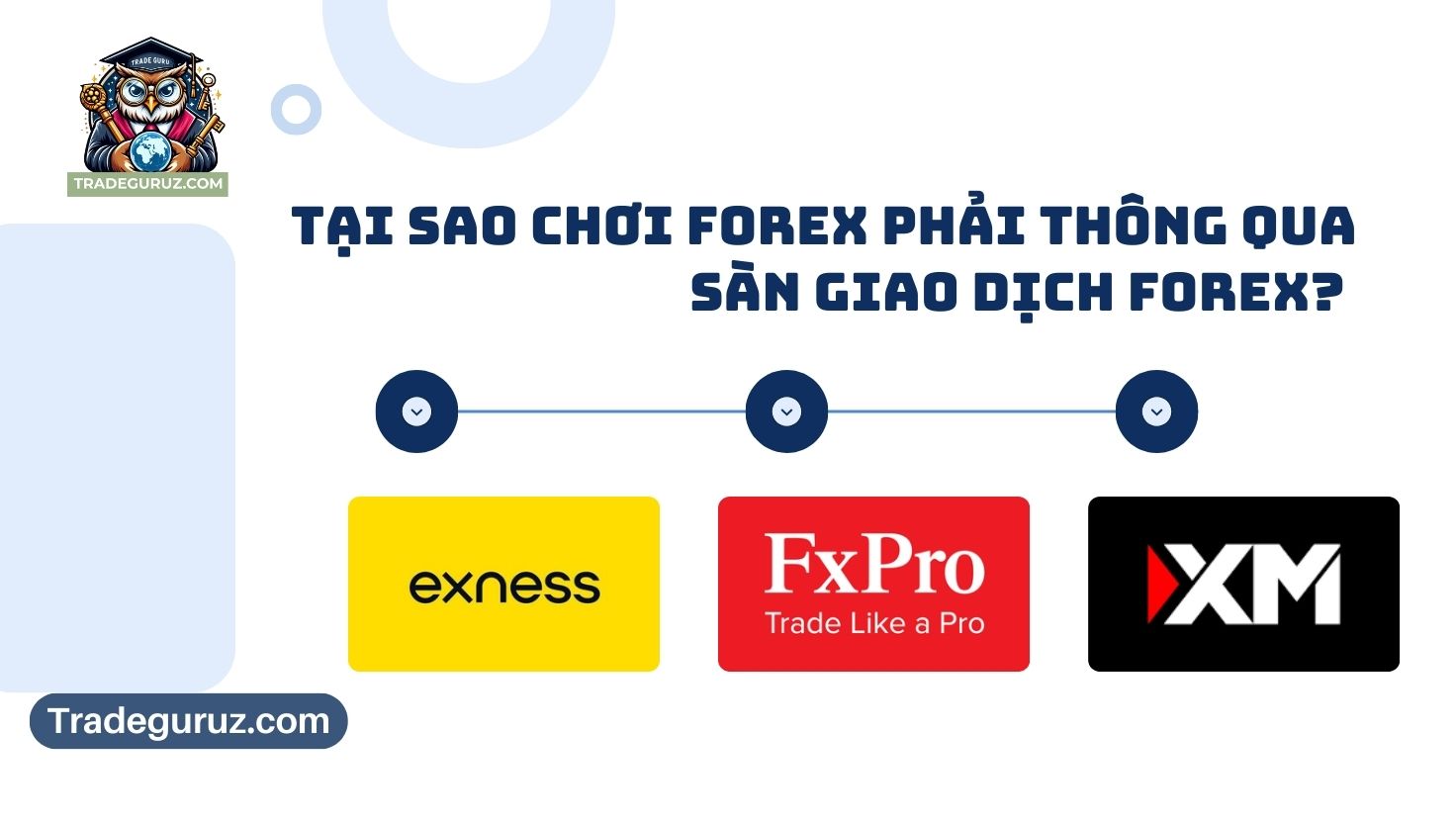 Tại sao giao dịch forex lại thông qua các sàn forex? Các trang forex uy tín